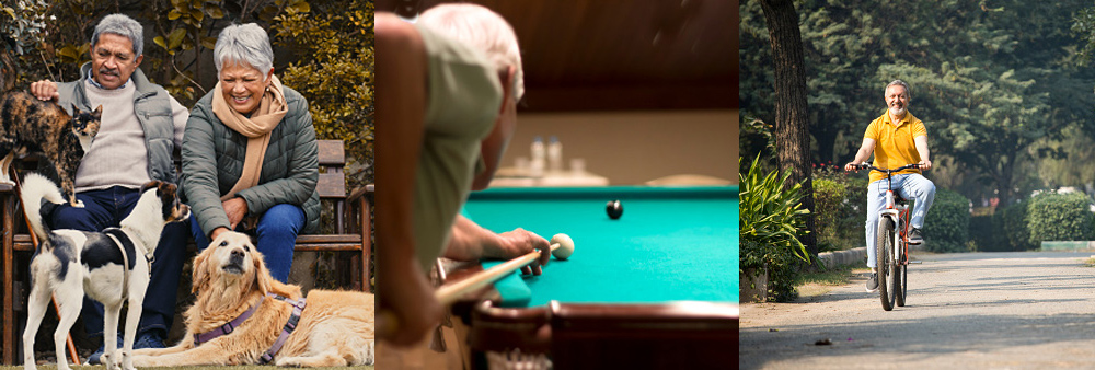 Dog Park, Pool Table and Bicycling