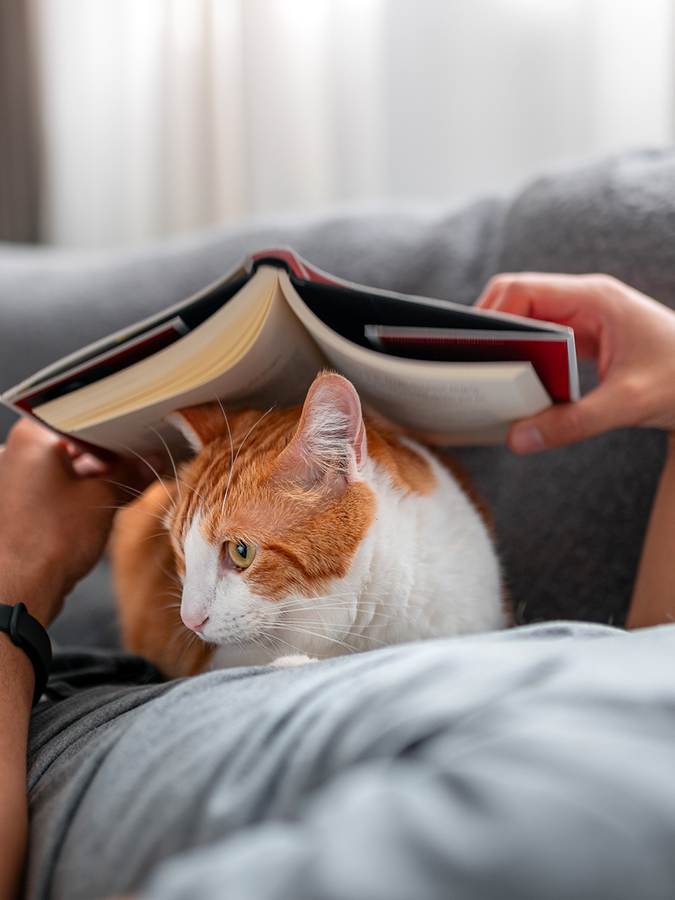 Man on Couch Reading with His Cat