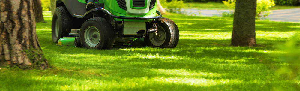 Professional_ Landscapers Provide Maintenace-Free Living