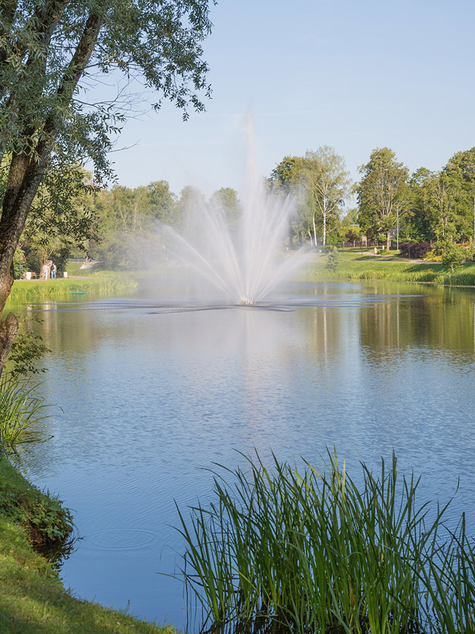 Water Feature in Community Pond