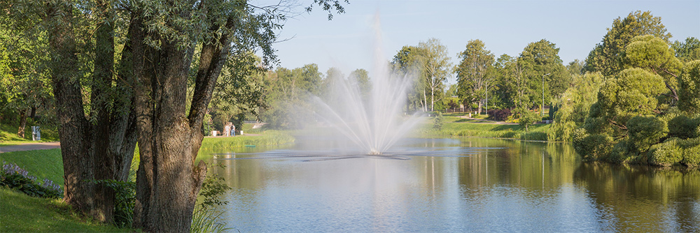 Water Feature in Pond
